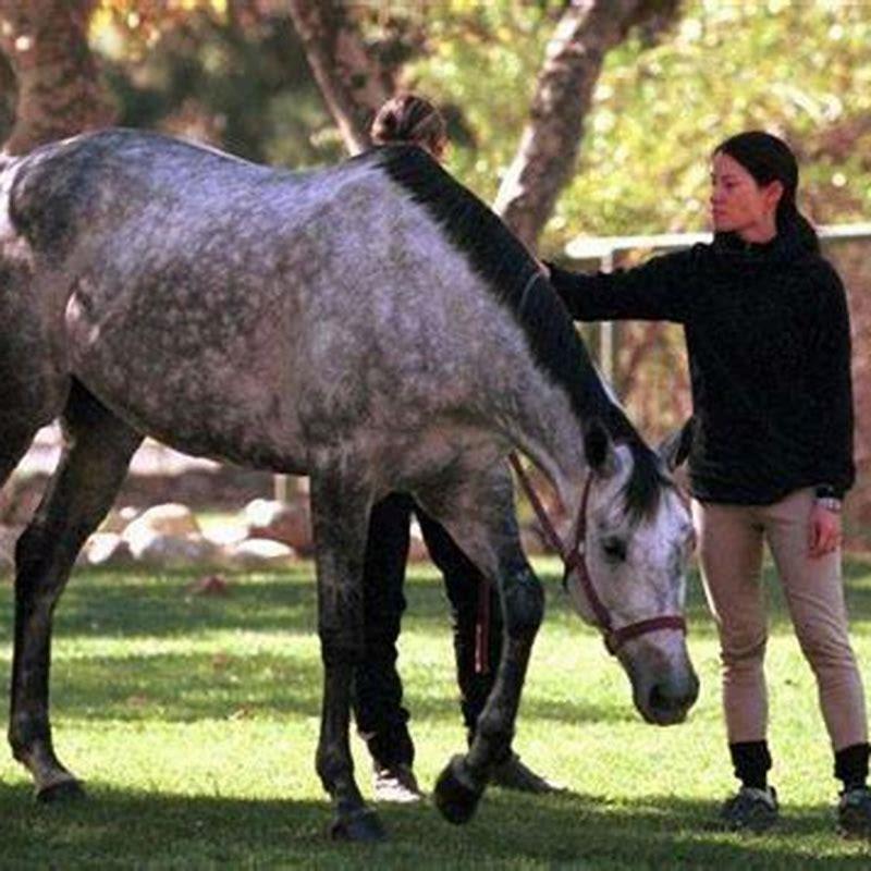 What famous person loves horses?