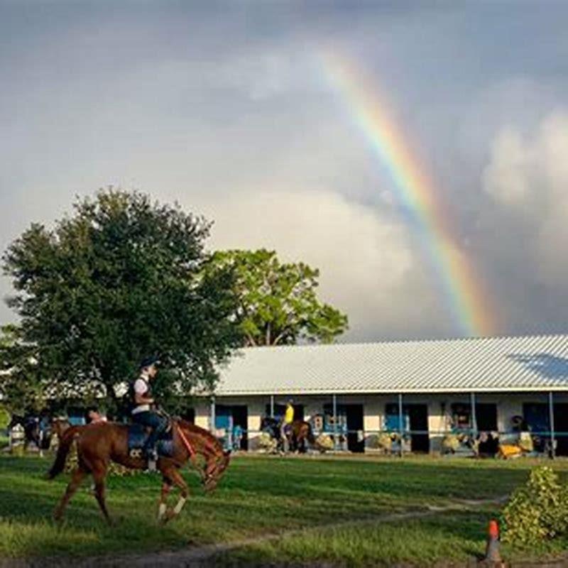 What happened to Gulfstream Park West?