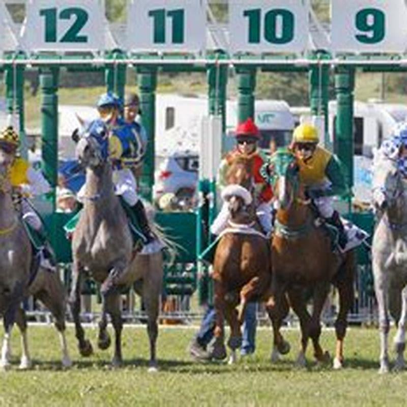 What happens if you bet a horse to show and he wins?