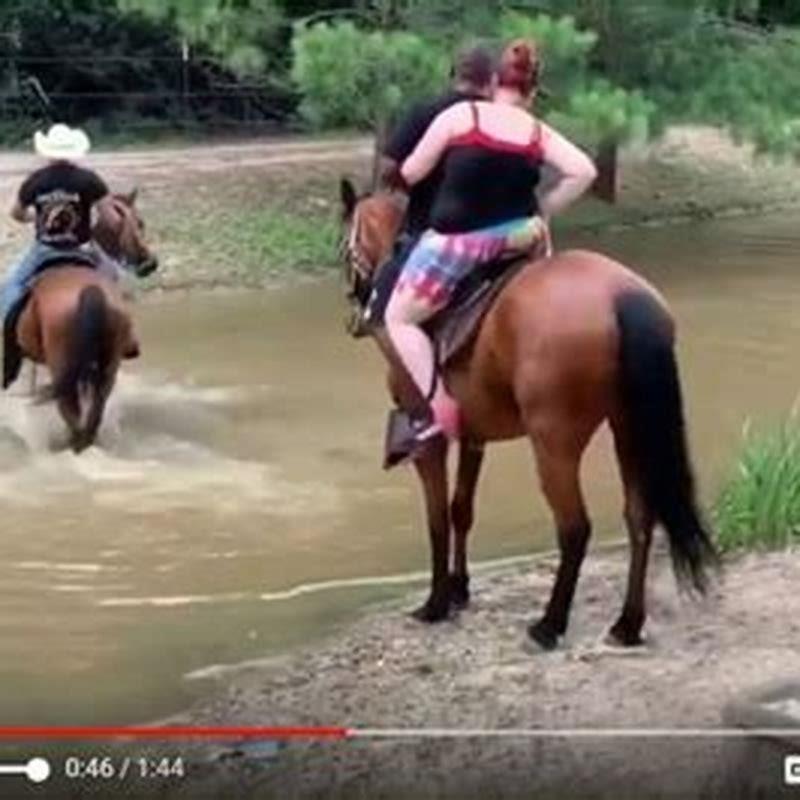 What horse can carry the heaviest rider?
