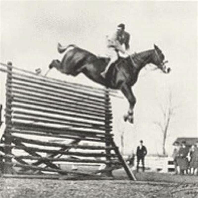 what-horse-has-the-highest-jump-diy-seattle