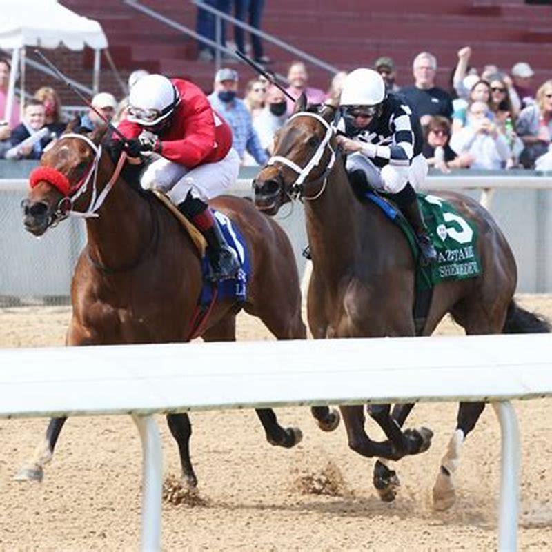 what-horse-races-are-running-today-diy-seattle