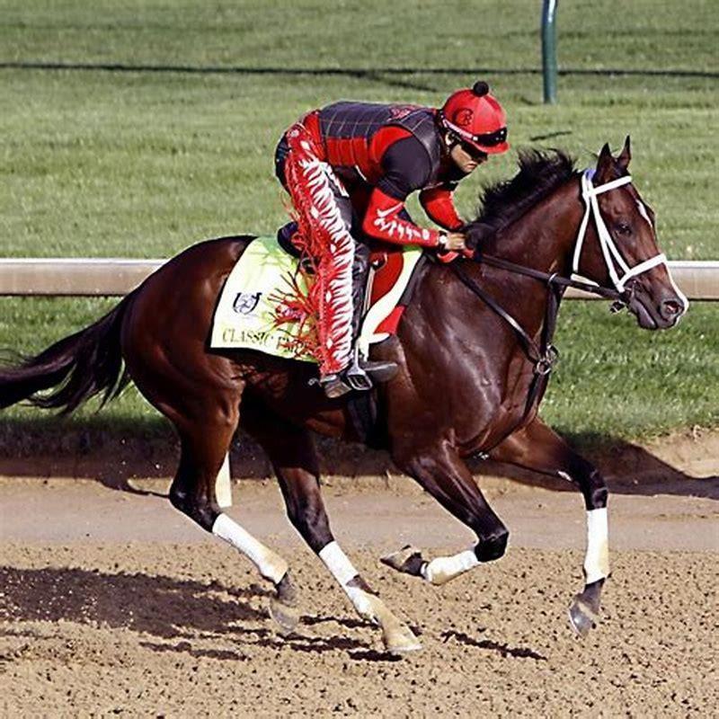 What horses are favored in the Kentucky Derby? DIY Seattle