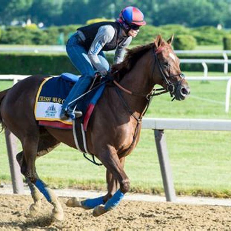 What horses are running in the Belmont Stakes today? DIY Seattle