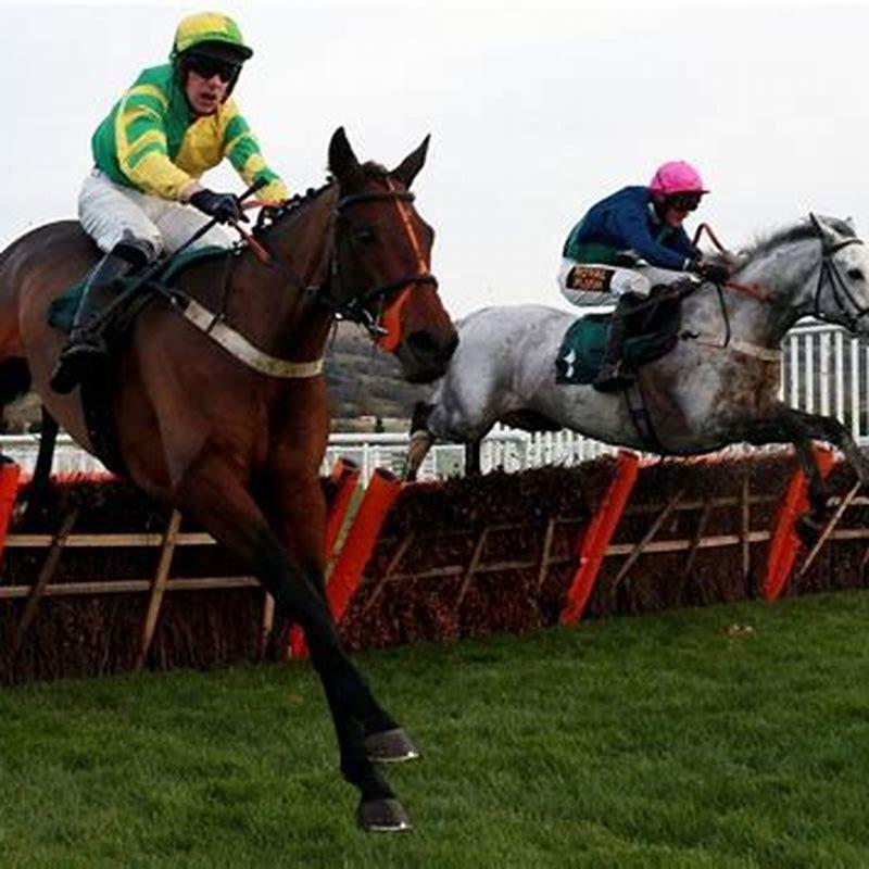 What horses are running today at Cheltenham?