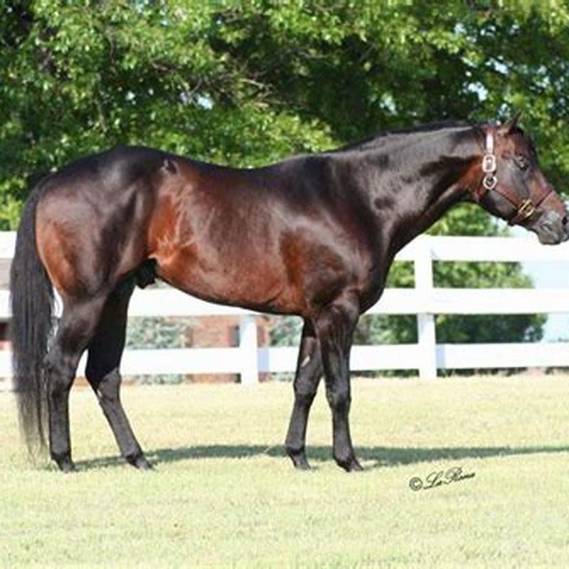 what-is-a-good-breeze-time-for-a-horse-diy-seattle