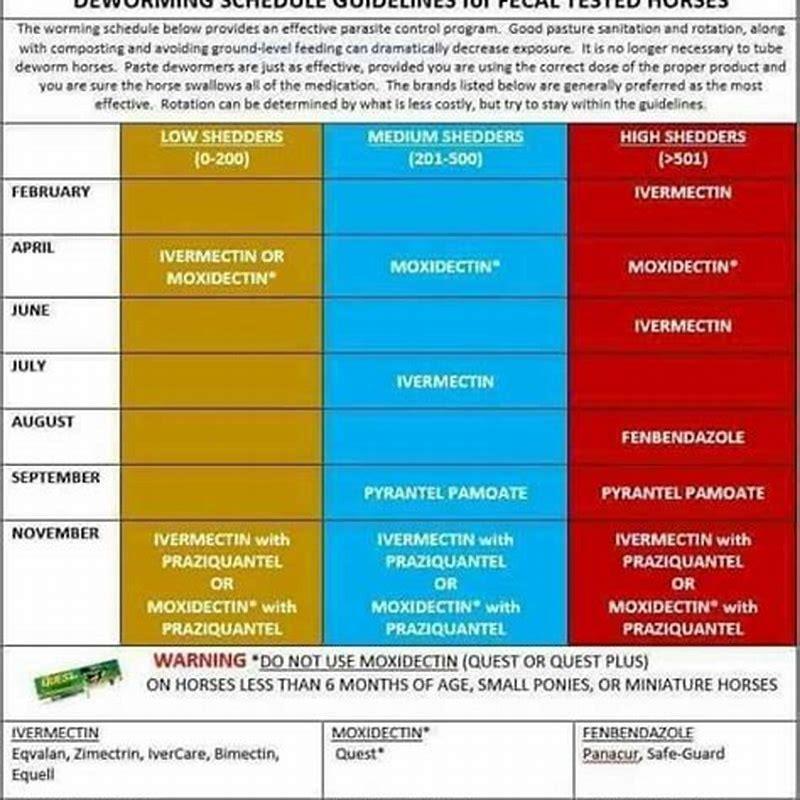 What is a good deworming schedule for horses? DIY Seattle