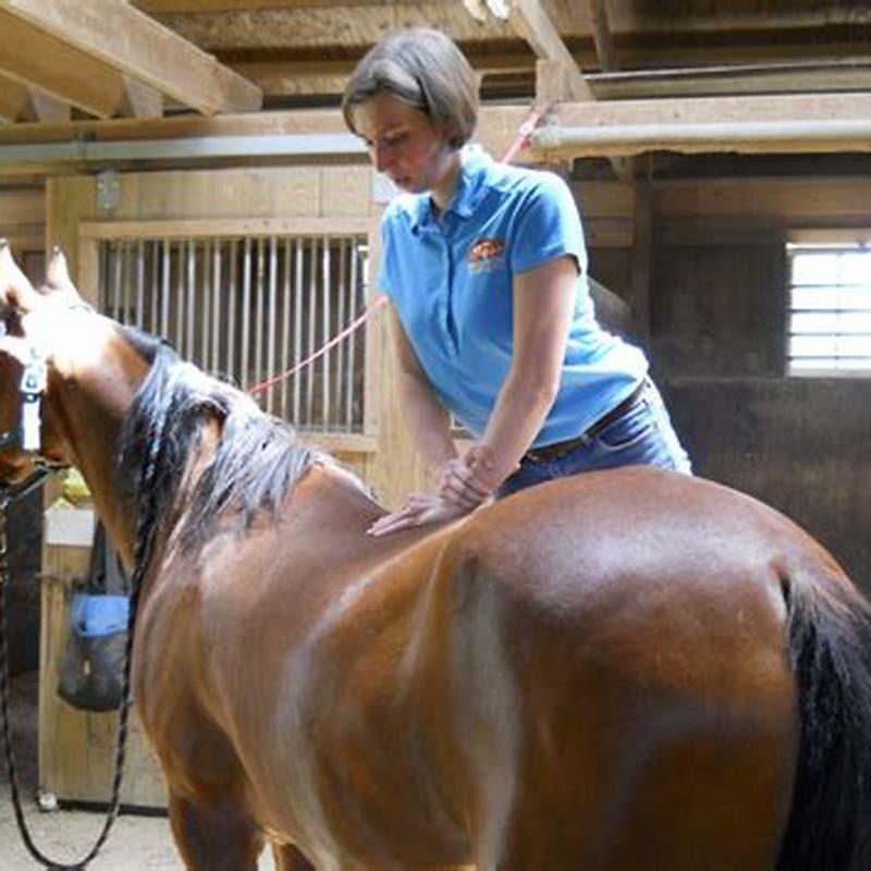 What is a horse chiropractor called? DIY Seattle