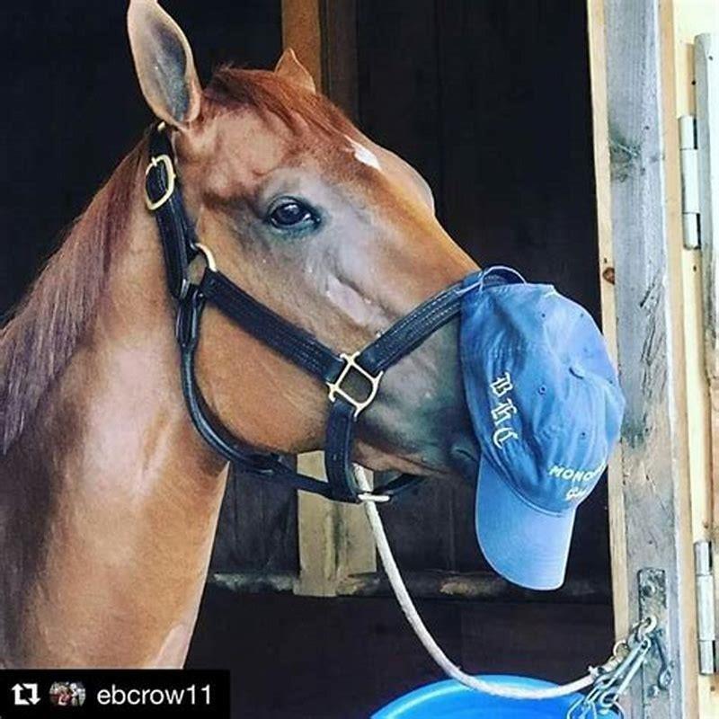 What is a horse girl personality?