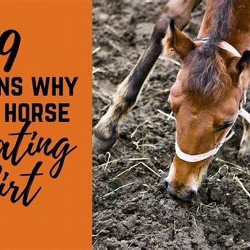 What is a horse lacking when it eats dirt?