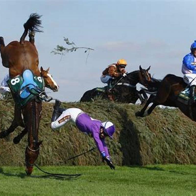 What Is A Steeplechase And How Does It Differ From Other Races DIY 