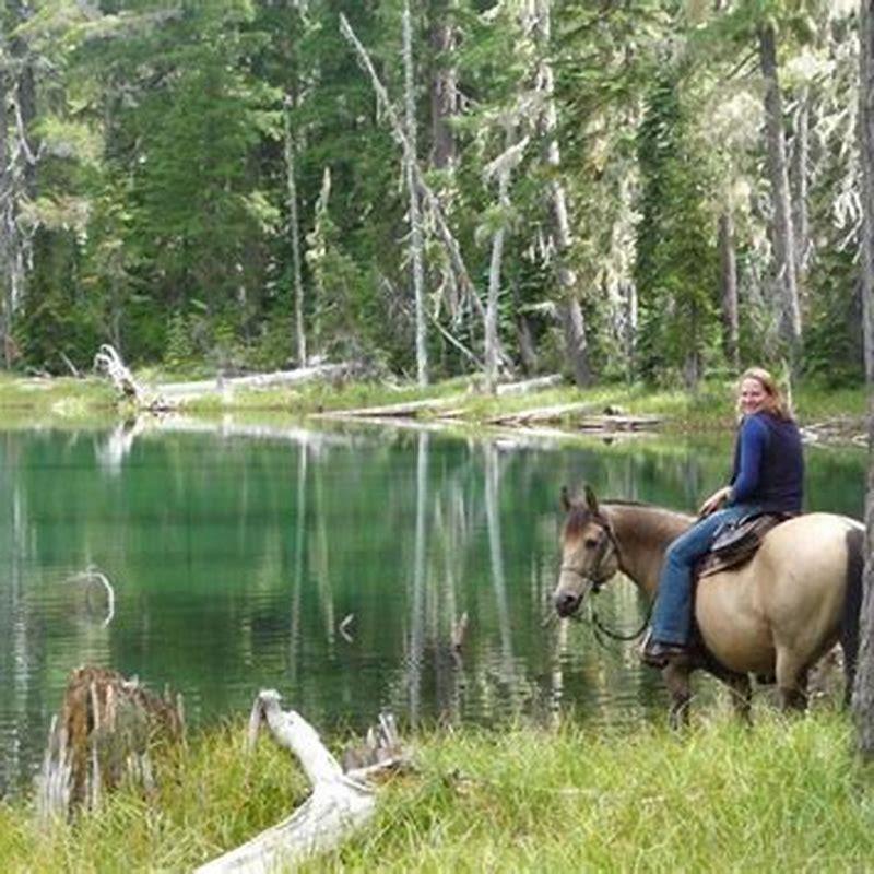 What is camping with horses called?