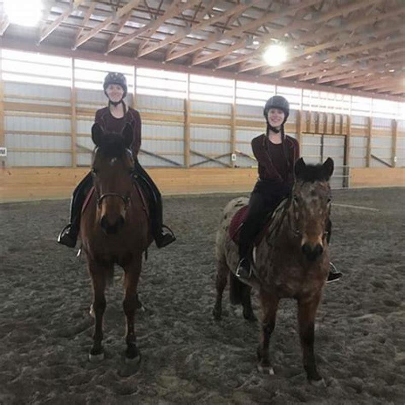 What Is It Called To Untack A Horse DIY Seattle what-is-it-called-to-untack-a-horse-diy-seattle