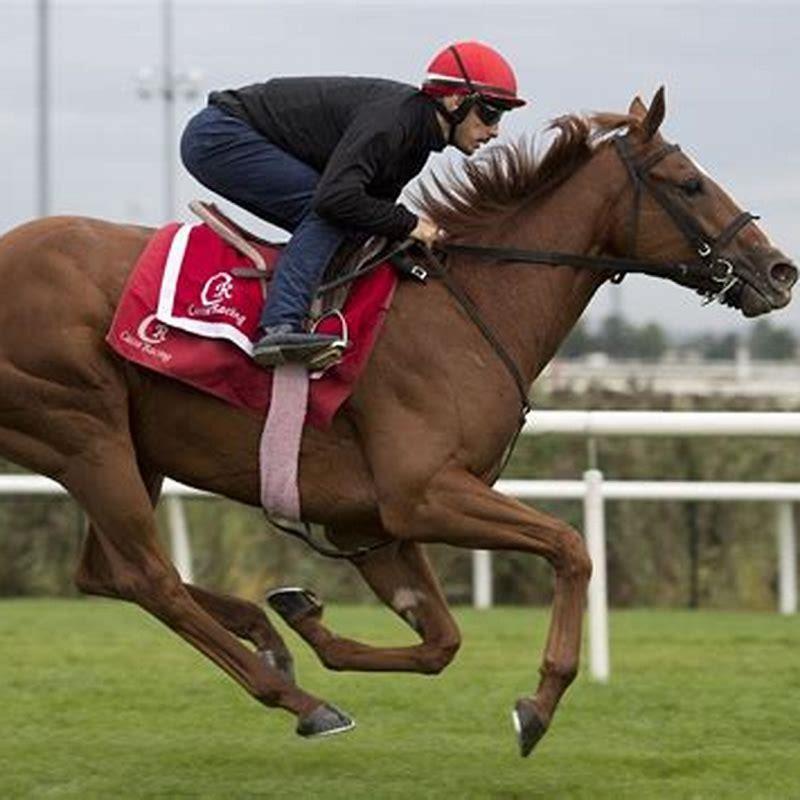 What is the best online horse racing?