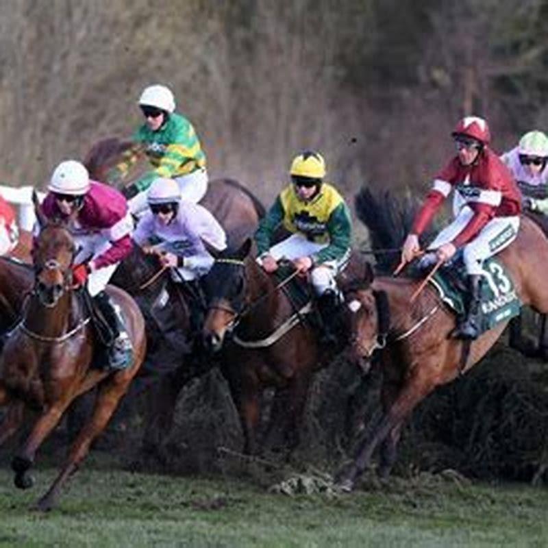 What Does A Handicap Horse Race Mean