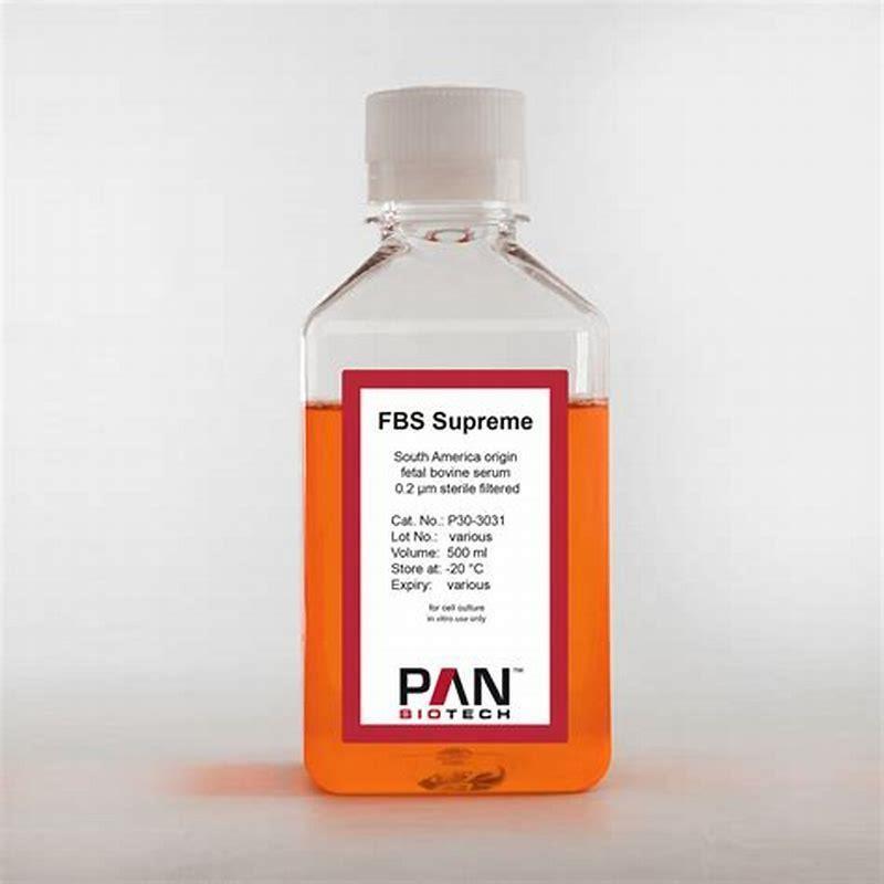What is the difference between fetal bovine serum and horse serum?