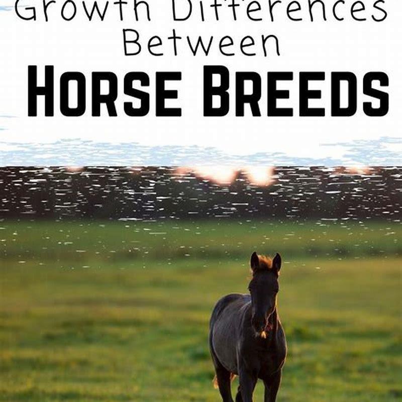 What is the height of fully grown male horse?
