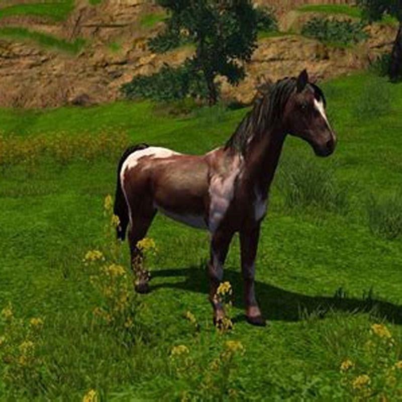 What Is The Most Realistic Horse Game Diy Seattle