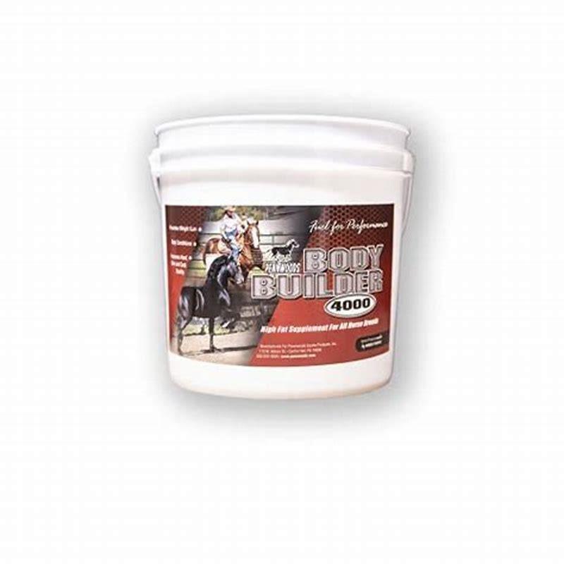 What is the proper way to feed a horse?