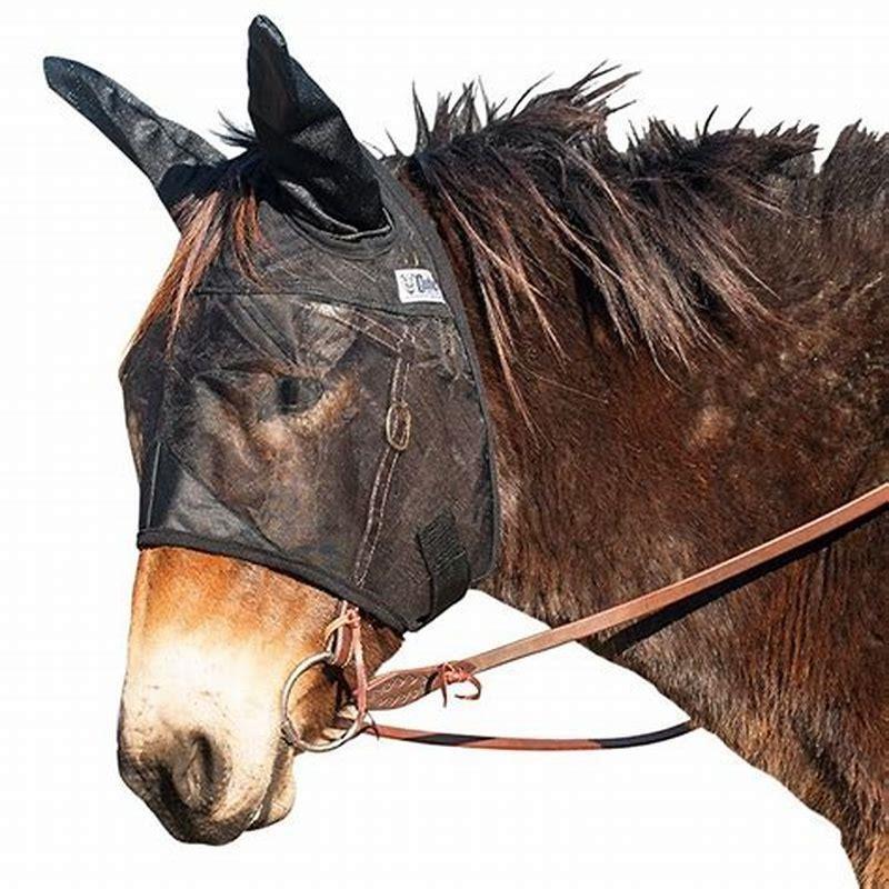 What is the purpose of a horse fly?
