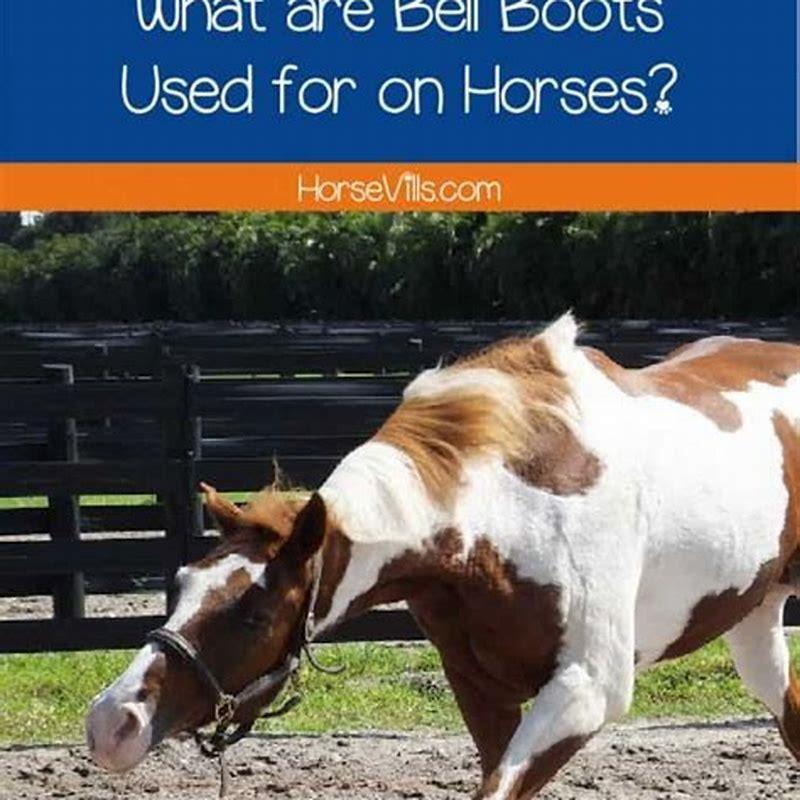 What is the purpose of bell boots on horses? - DIY Seattle