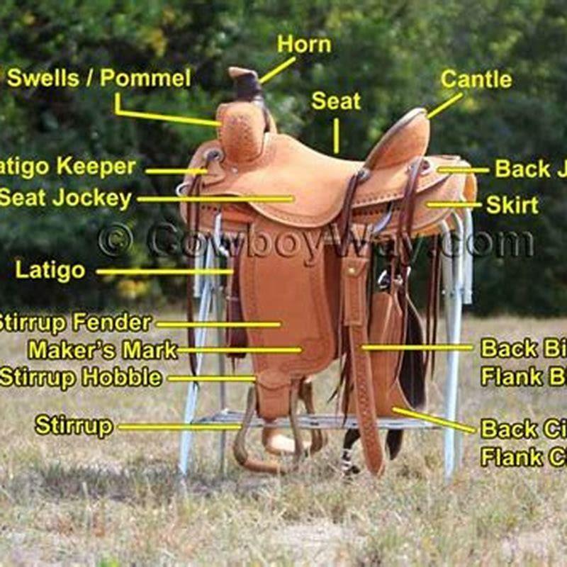 What is the underside of a saddle called?