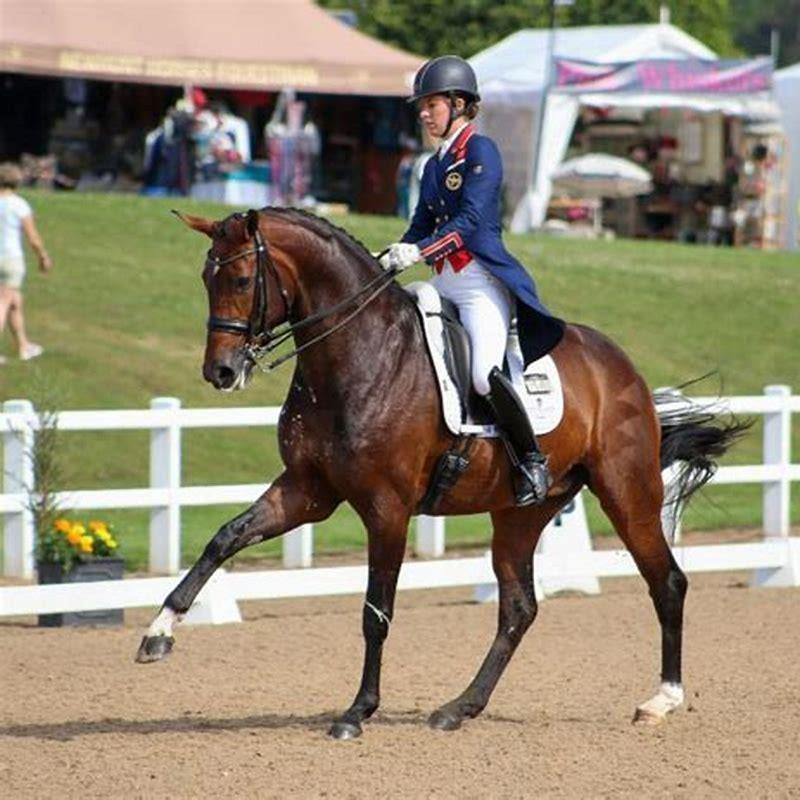 What judges look for in horse shows?
