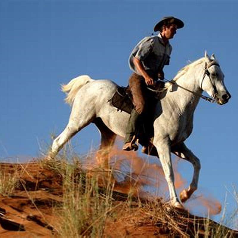 What kind of horse was tornado?