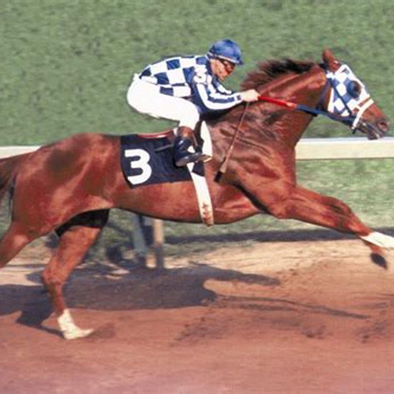 What number wins the most in horse racing?
