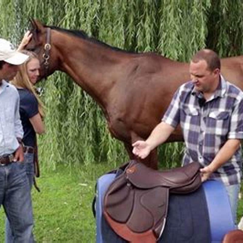 What order do you saddle a horse?