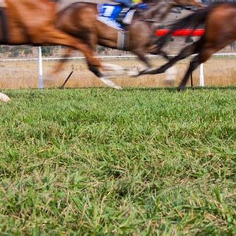 What percentage of the purse do jockeys get?