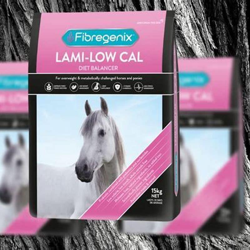 What should I feed my laminitic horse?
