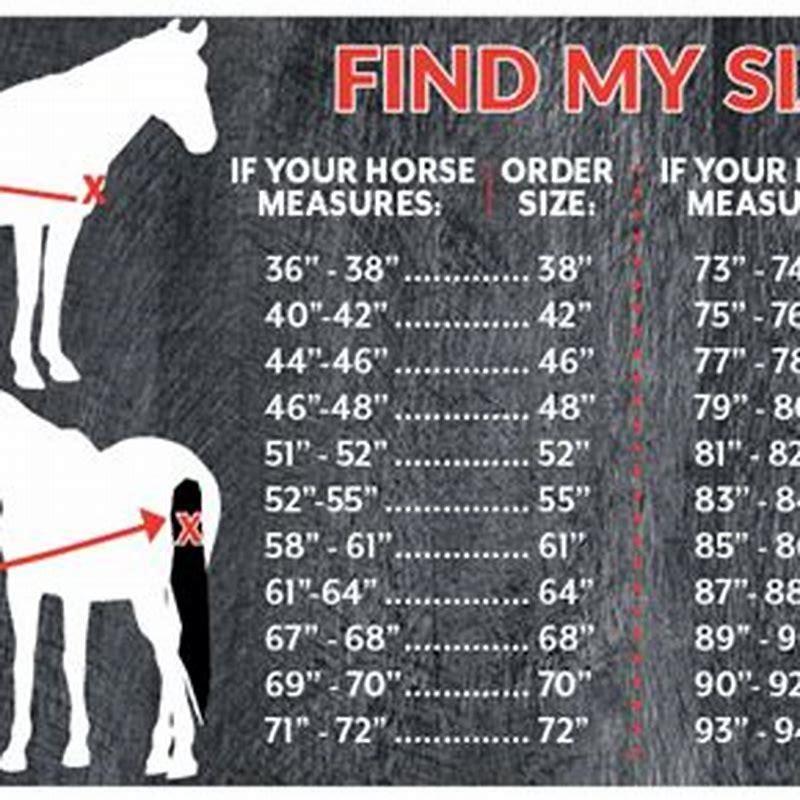 What size horse blanket does my horse need? - DIY Seattle