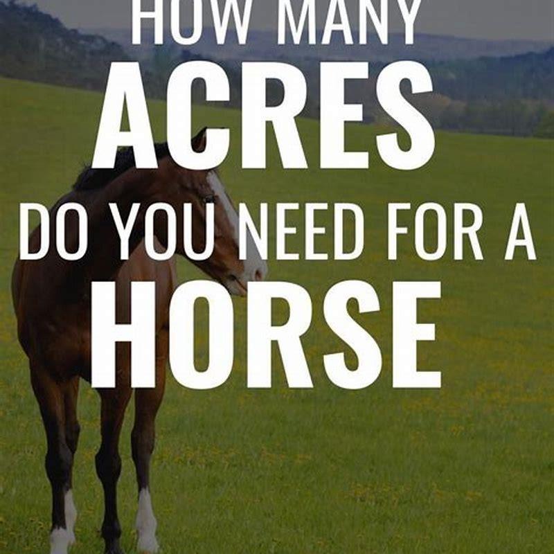 What size shelter does a horse need?