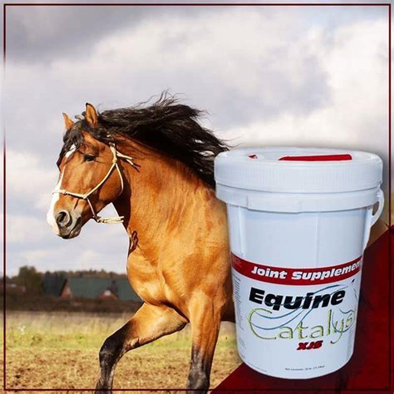 What supplement is good for arthritis in horses?