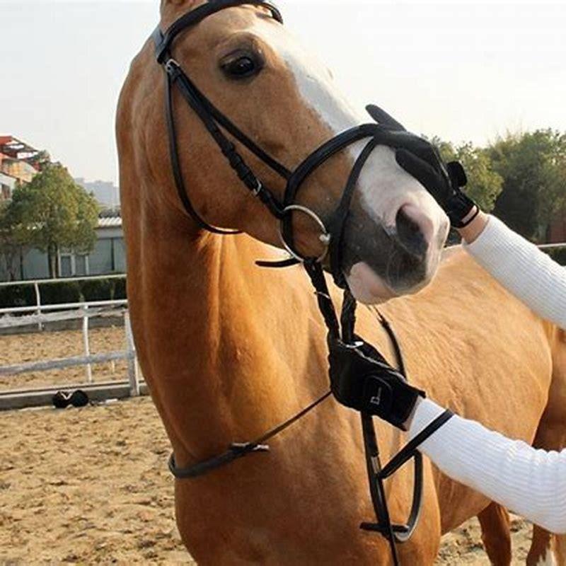 What supplies do I need to own a horse?