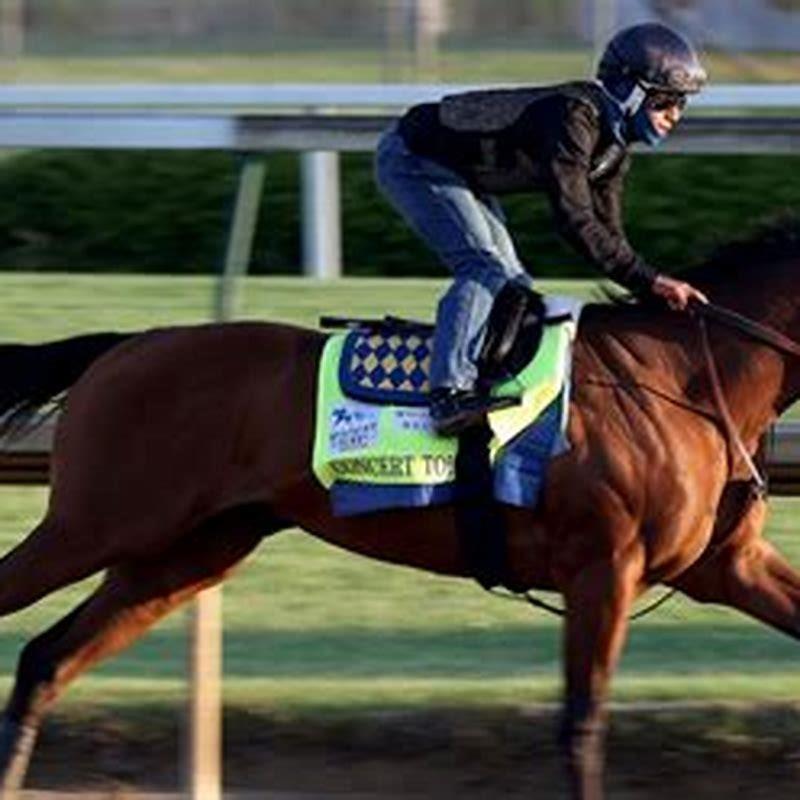 What time is Preakness on Saturday? DIY Seattle