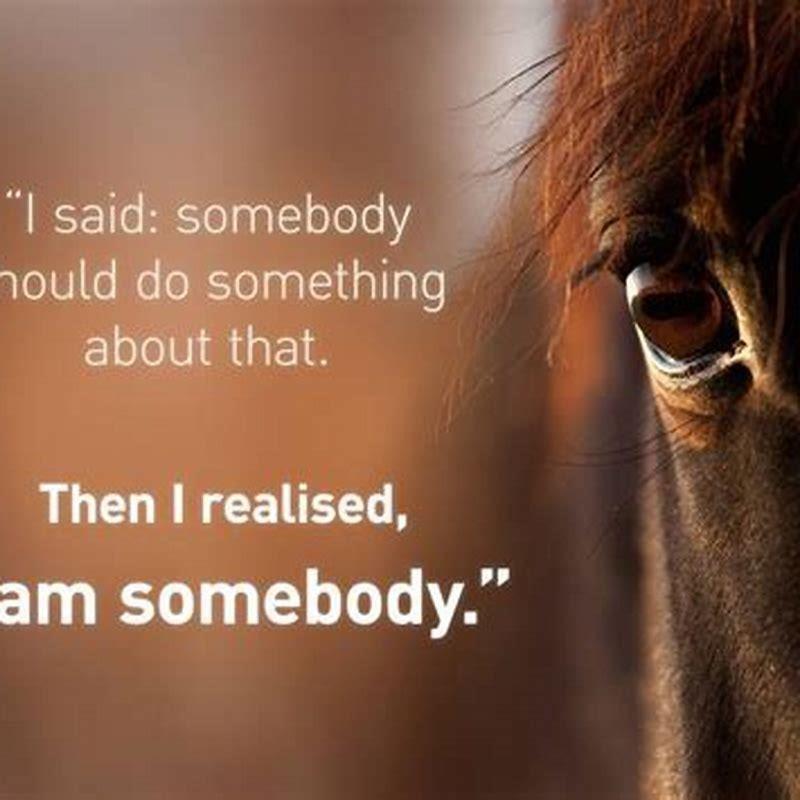 What to say to stop a horse?