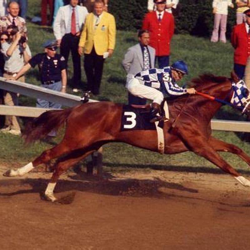 What was Secretariat worth? - DIY Seattle