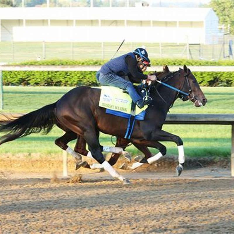 What were the results of the Preakness Stakes today?