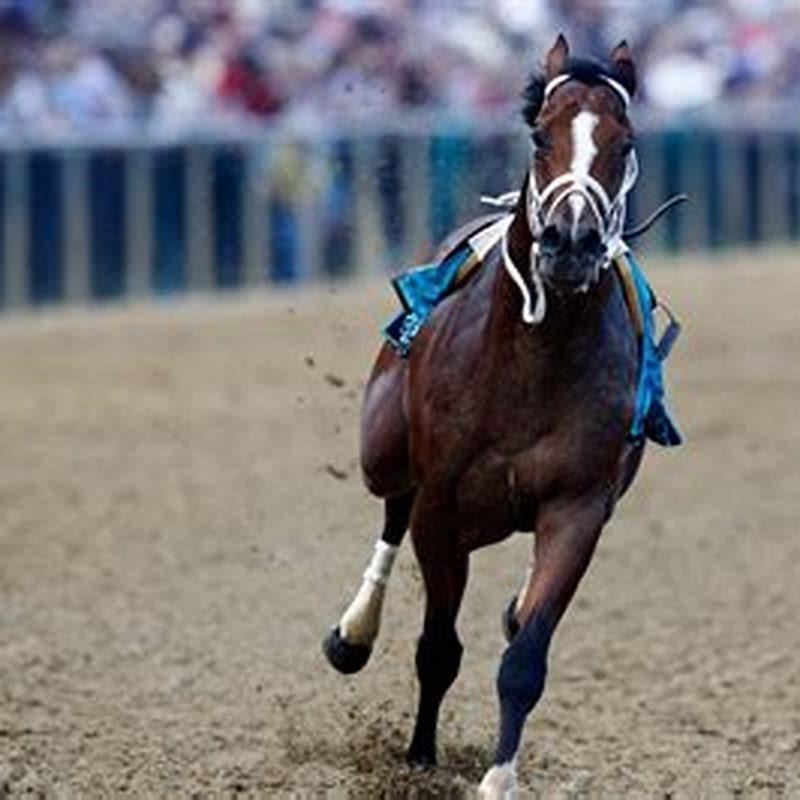 When and where is the Preakness horse race? DIY Seattle