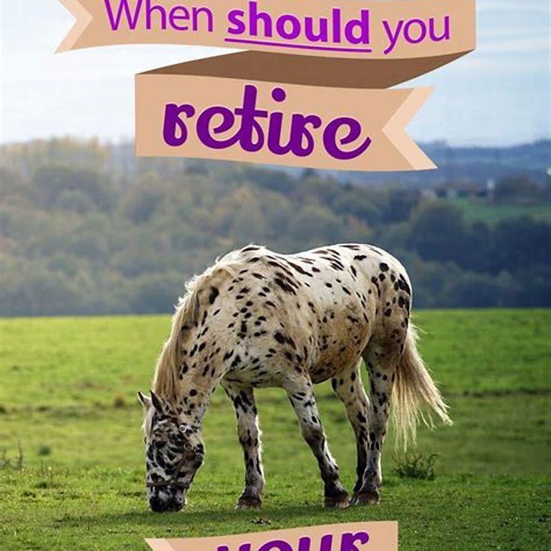 When Should I Retire My Horse? - DIY Seattle