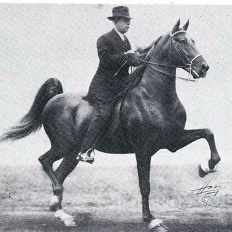 When was the first horse collar invented?