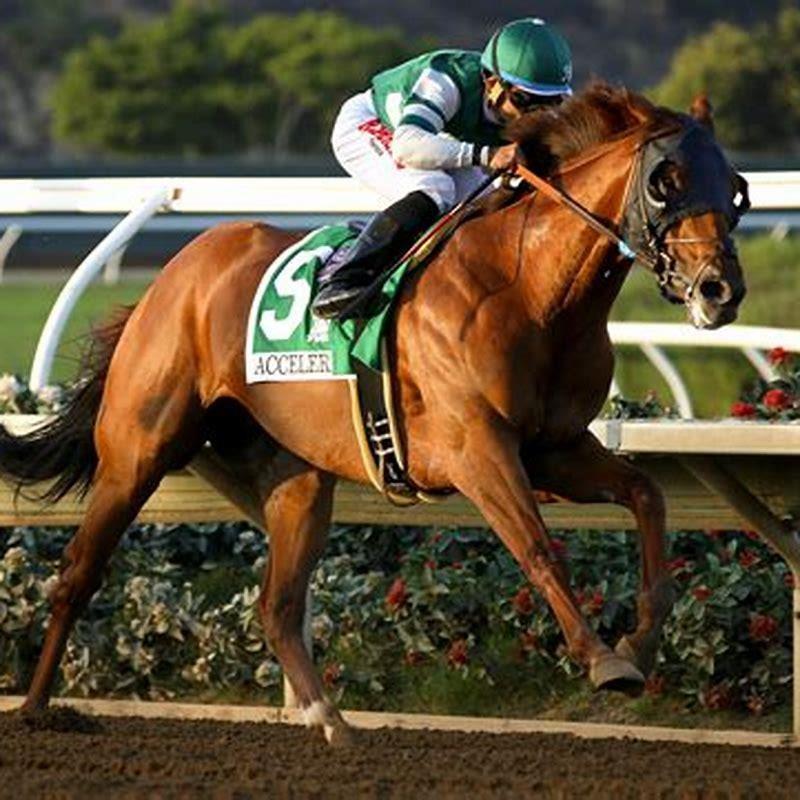 When was the first horse race in America?