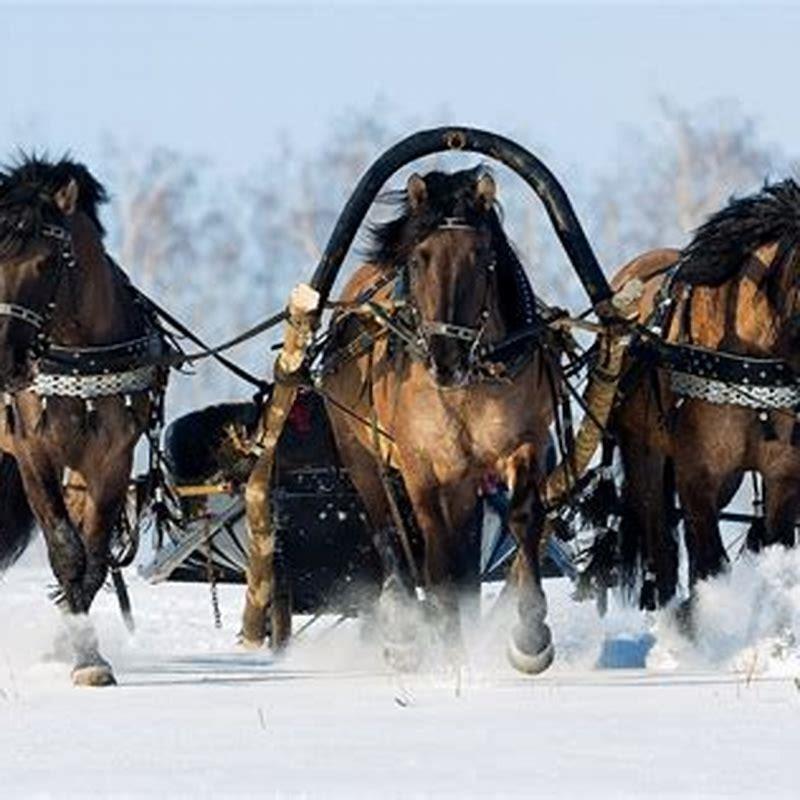 When were horses first used for racing?