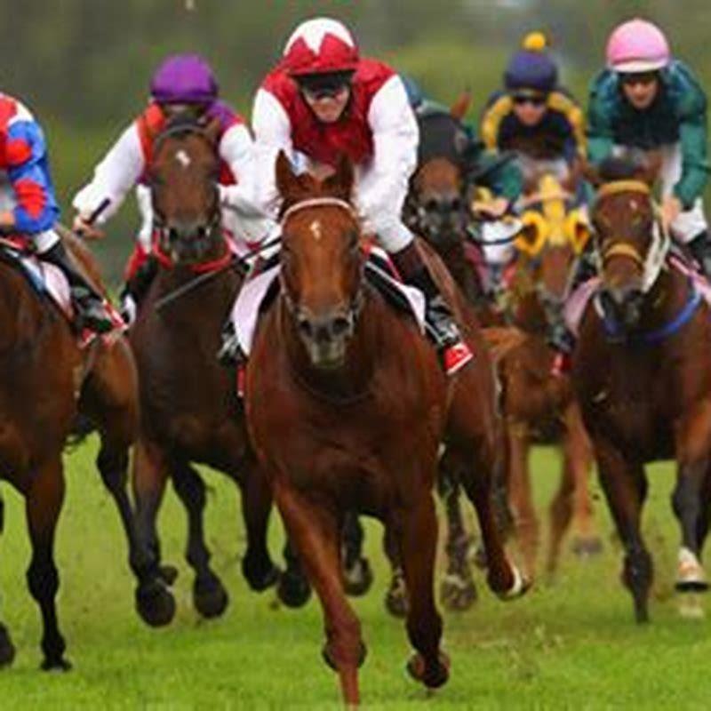 Where can I go to bet on horse racing?