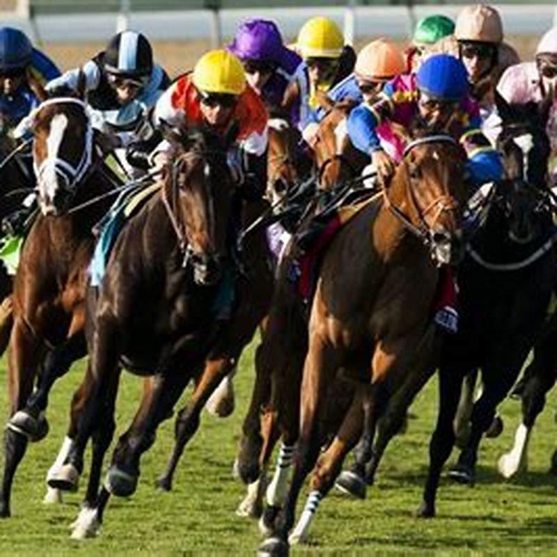 Where can I watch horse racing?