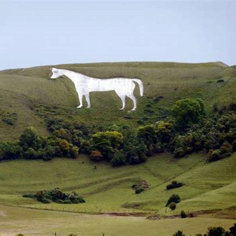 Where in England is the white horse?