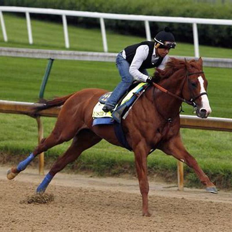 Where is Justify the horse now? - DIY Seattle