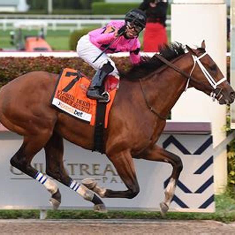 Where is Maximum Security horse now?